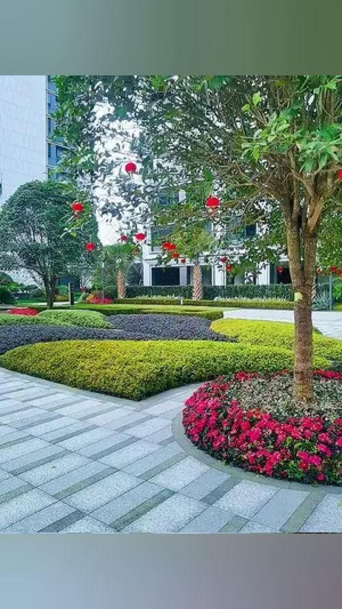 無需艷羨別人的風景，腳下的路終會繁花似錦