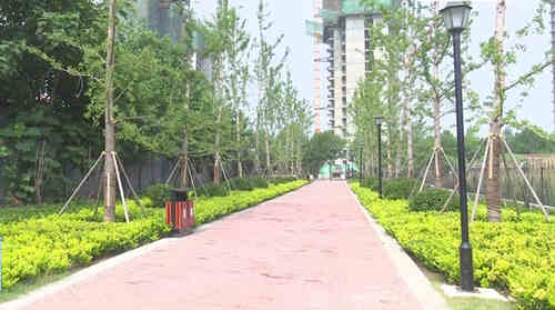 濟寧鄒城市 綠地建設重點發力，噴泉設計巧融綠意，民生福祉悄然升級